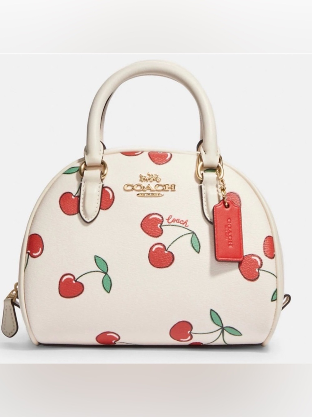 Coach 🍒 Cherry & Purse New With Tags